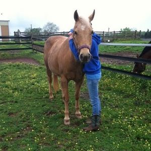 Meet your Posher, Jillian